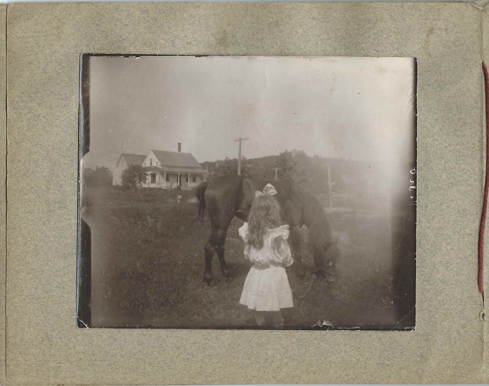 Heirlooms Reunited c1900 Photograph and Photo Album of the