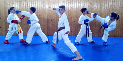 Karate Aranjuez