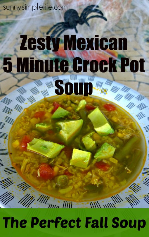 slow cooker, soup, frugal meal, crock pot