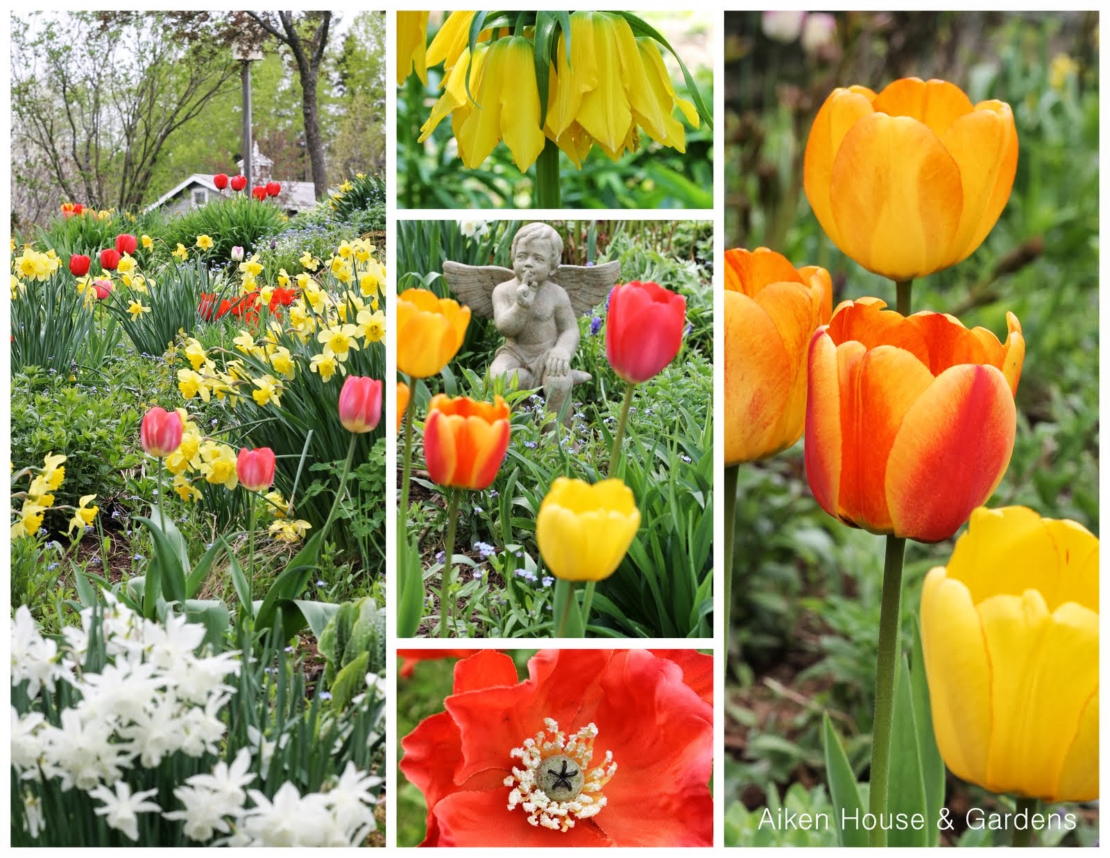 Aiken House & Gardens: Spring Colour in the Garden