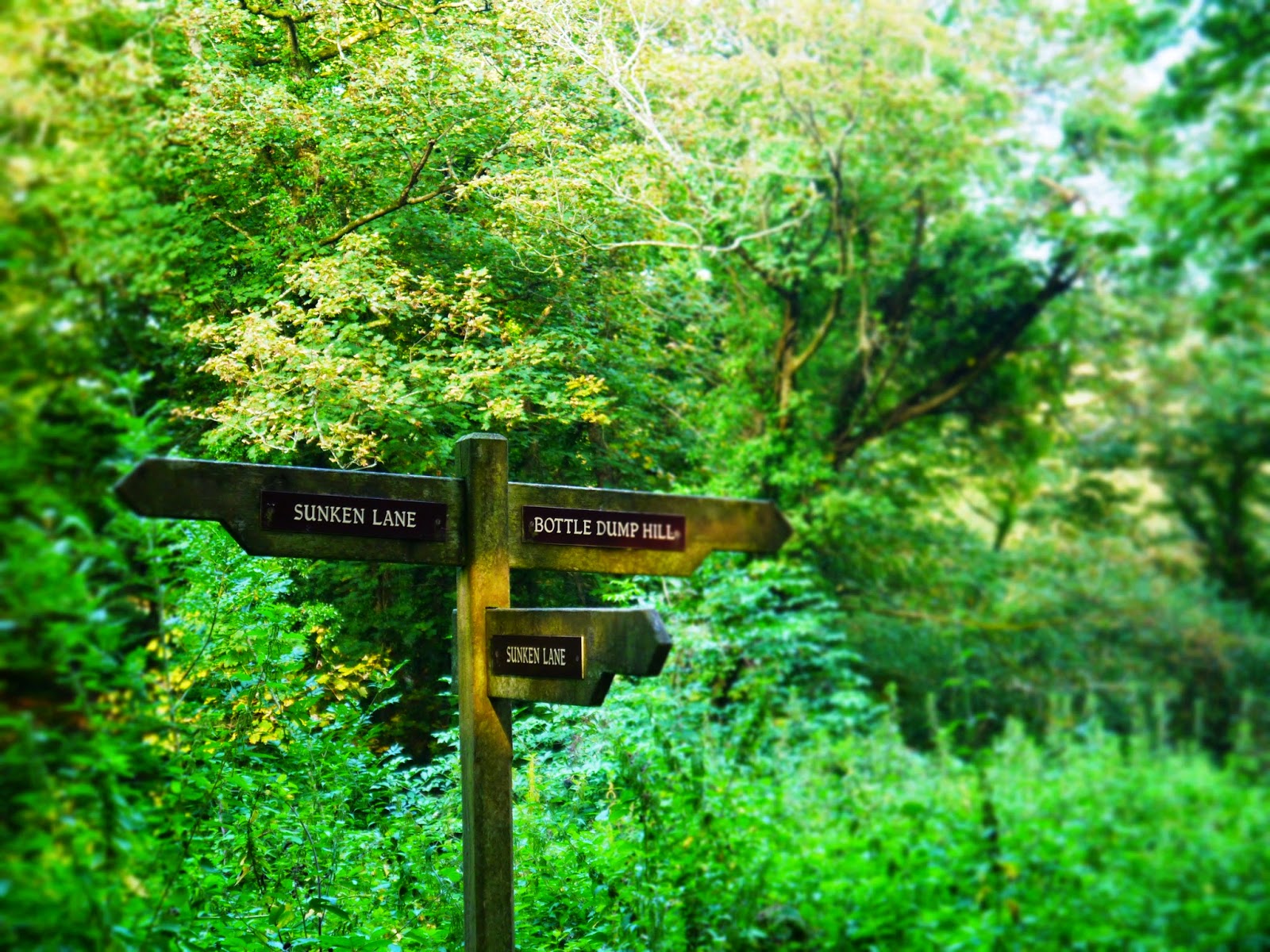 The Lost Gardens of Heligan, Cornwall - woodland trail sign
