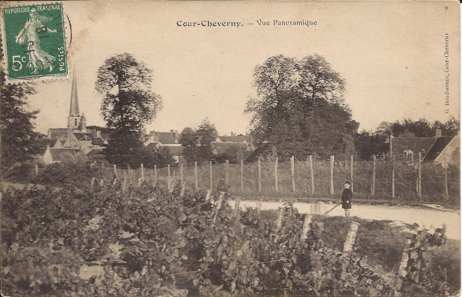 Cour-Cheverny - Panorama