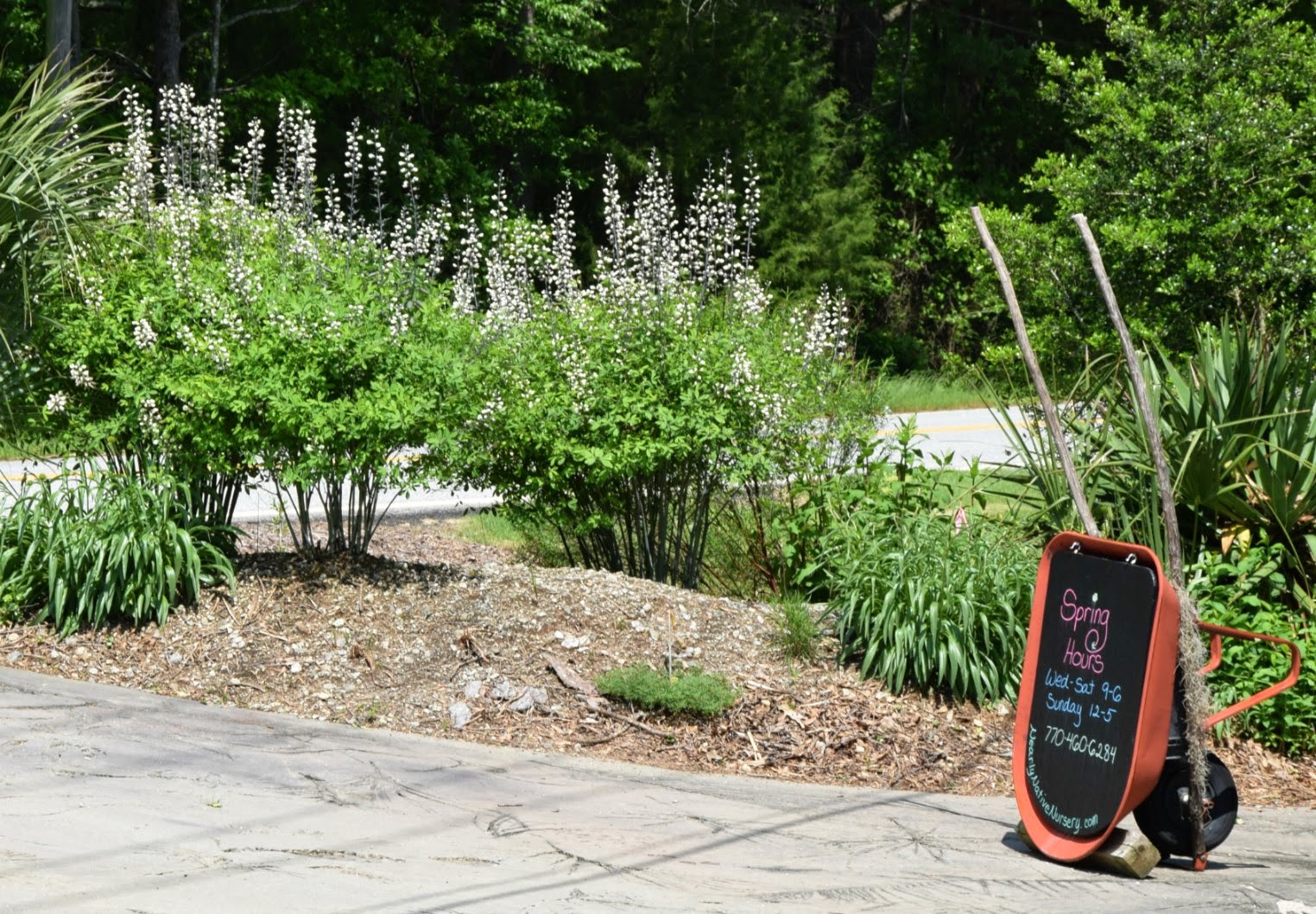 Using Native Plants Supporting Small Native Plant Nurseries