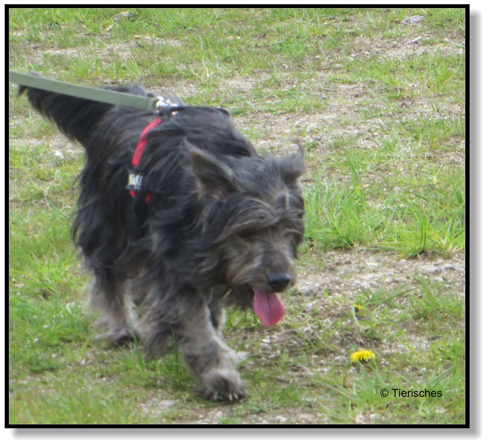 Griasd Eich Und Herzliche Willkommen In Niederbayern Beauty Mami