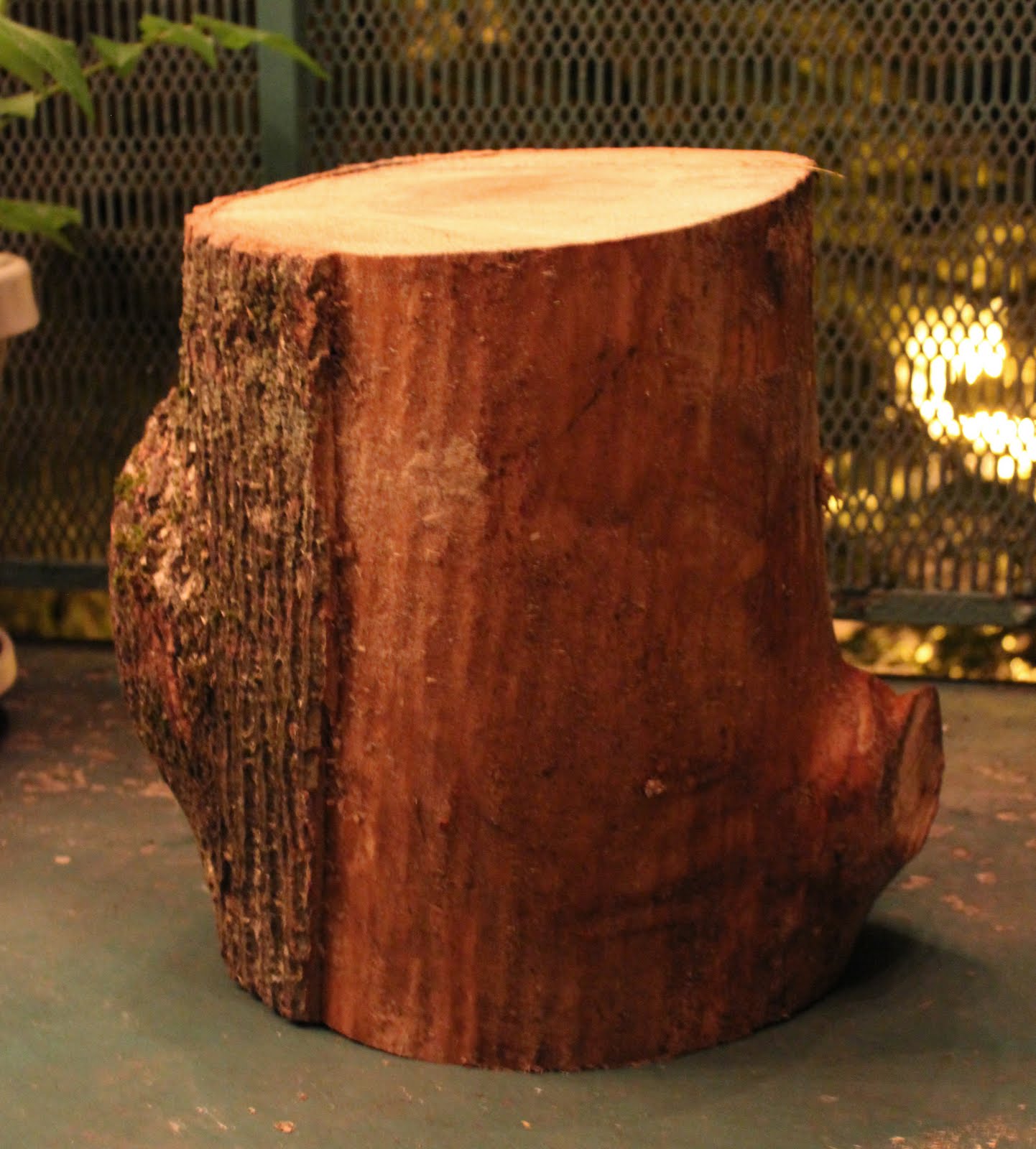 The Sassy Pickle: Log Table