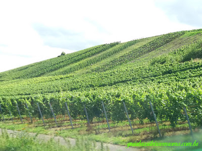 Vinhedos do Mosel