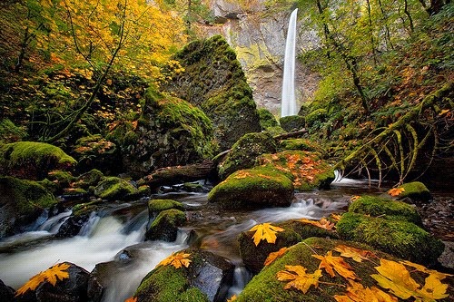 Stunning Elowah Falls, Columbia River Gorge, Oregon, USA Stunning Elowah Falls, Columbia River Gorge, Oregon, USA