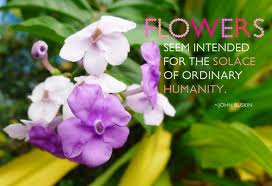 Flowers quotes, famous quotes | Amazing Wallpapers