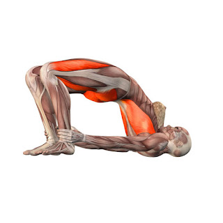 Yoga-trainer-for-home-for-diabetes-Banner.jpg