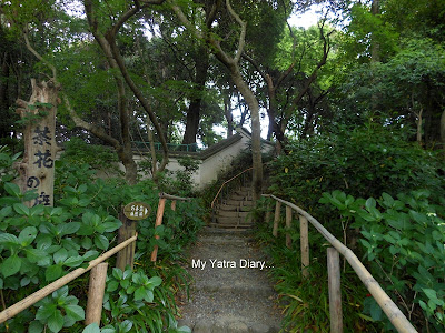 Way forward in the Yoshikien garden in Nara, Japan