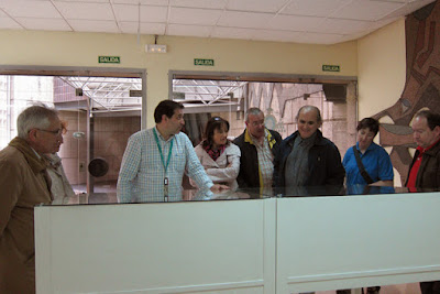 Museo de geología de la Facultad de Geológicas de Oviedo