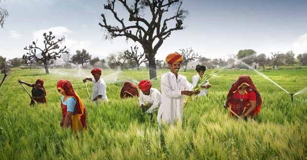 rajasthan farmers - राजस्थान में सिंचाई परियोजना