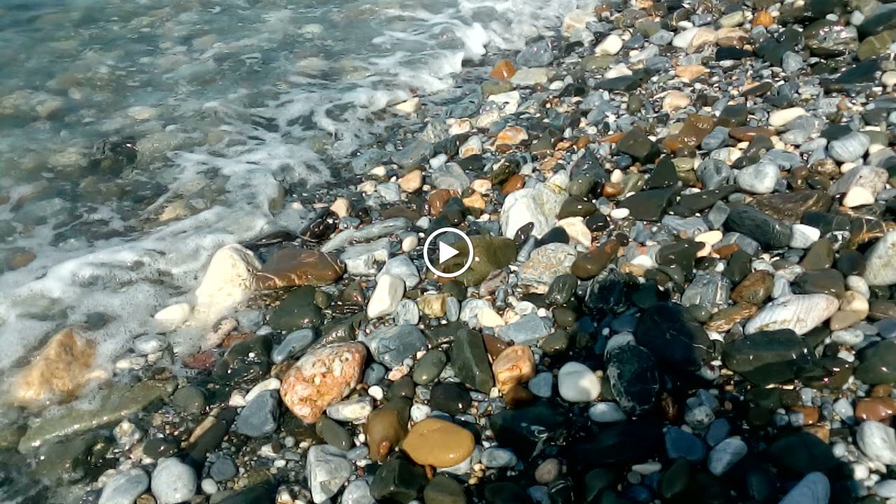 Huevas jibia plancha