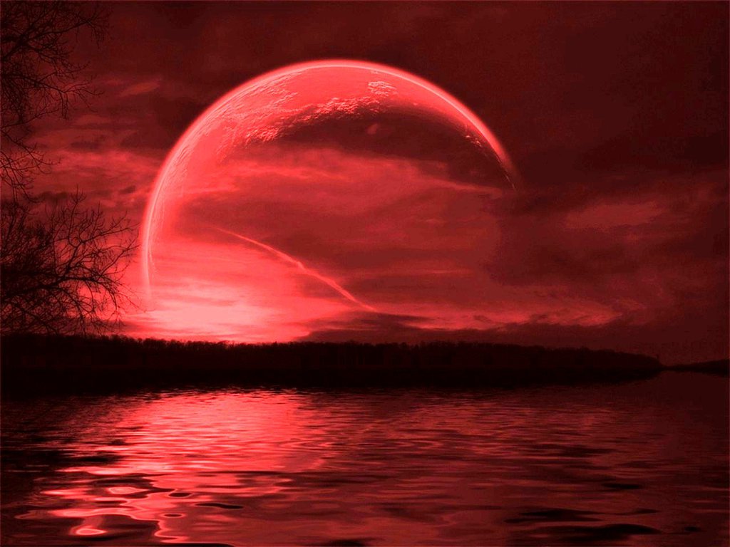 House of The Bone Witch Rose Moon (June)