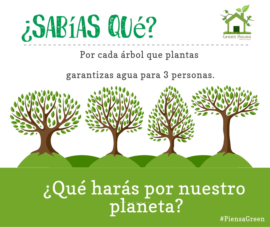 Green Tips: 15 razones para sembrar un árbol