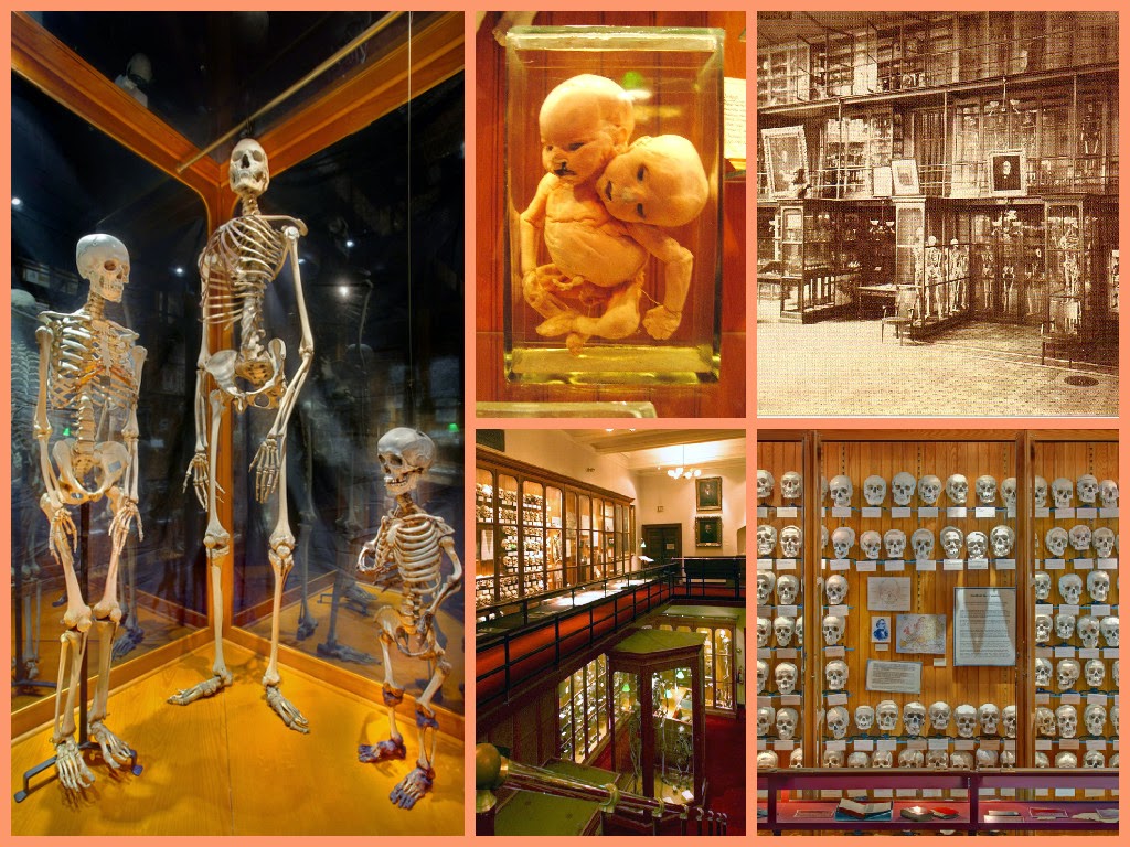 Картинки по запросу İnanılır gibi değil! Ölüm müzesi...