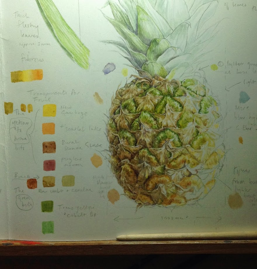 Pineapple study page Pineapple study page