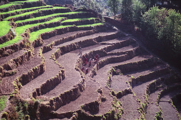 Népal, Pokhara, Annapurna, Nagdanda, © L. Gigout, 1990