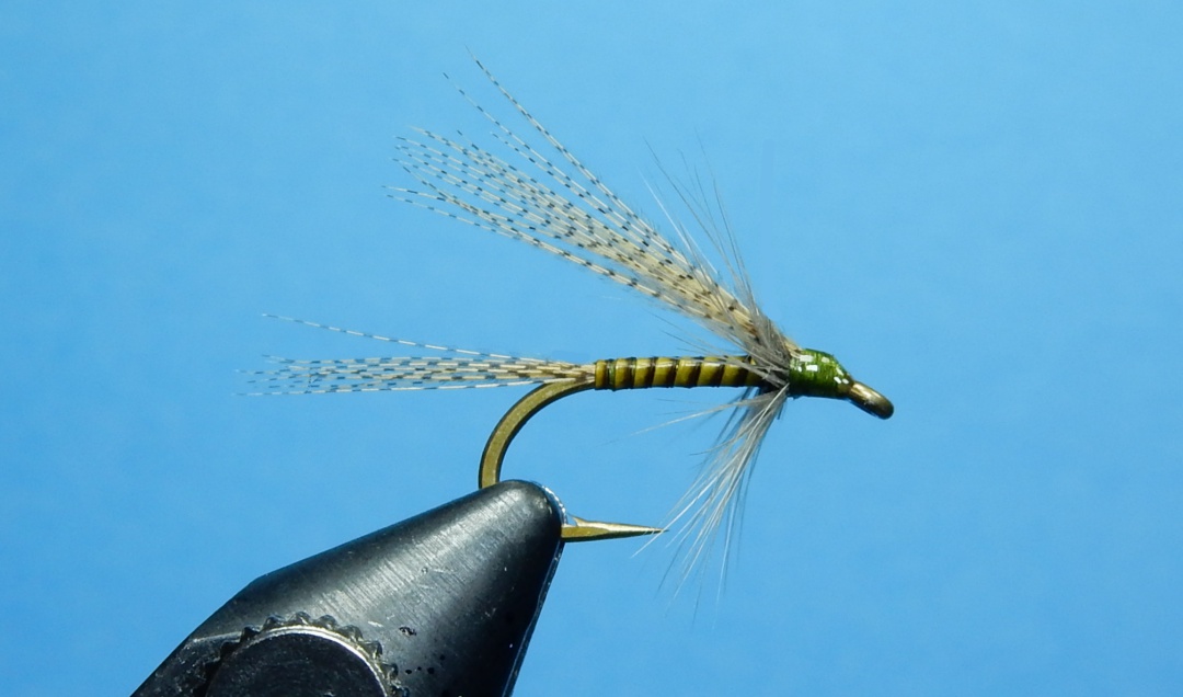 Flytying New and Old Quill Gordon Winged Wet Fly