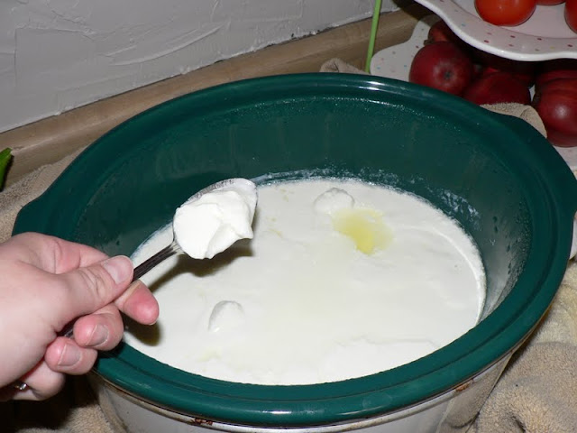 Crock Pot Yogurt - how to make yogurt in the crock pot!