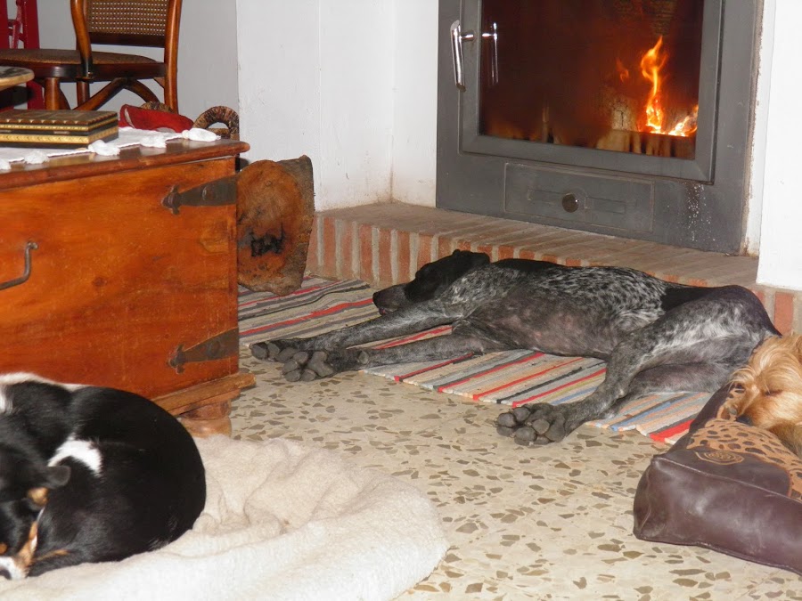 AL AMOR DE LA LUMBRE