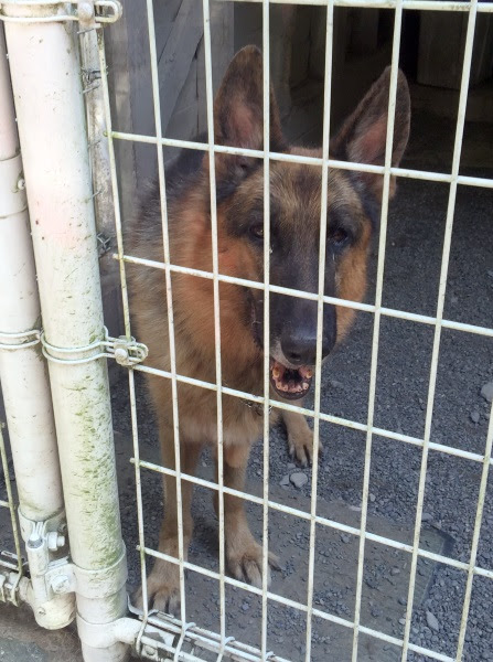 アイリスパークオートキャンプ場 1日目