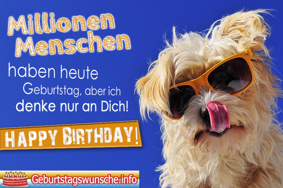 Geburtstagswünsche für Hunde Geburtstagswünsche für HaustierHund