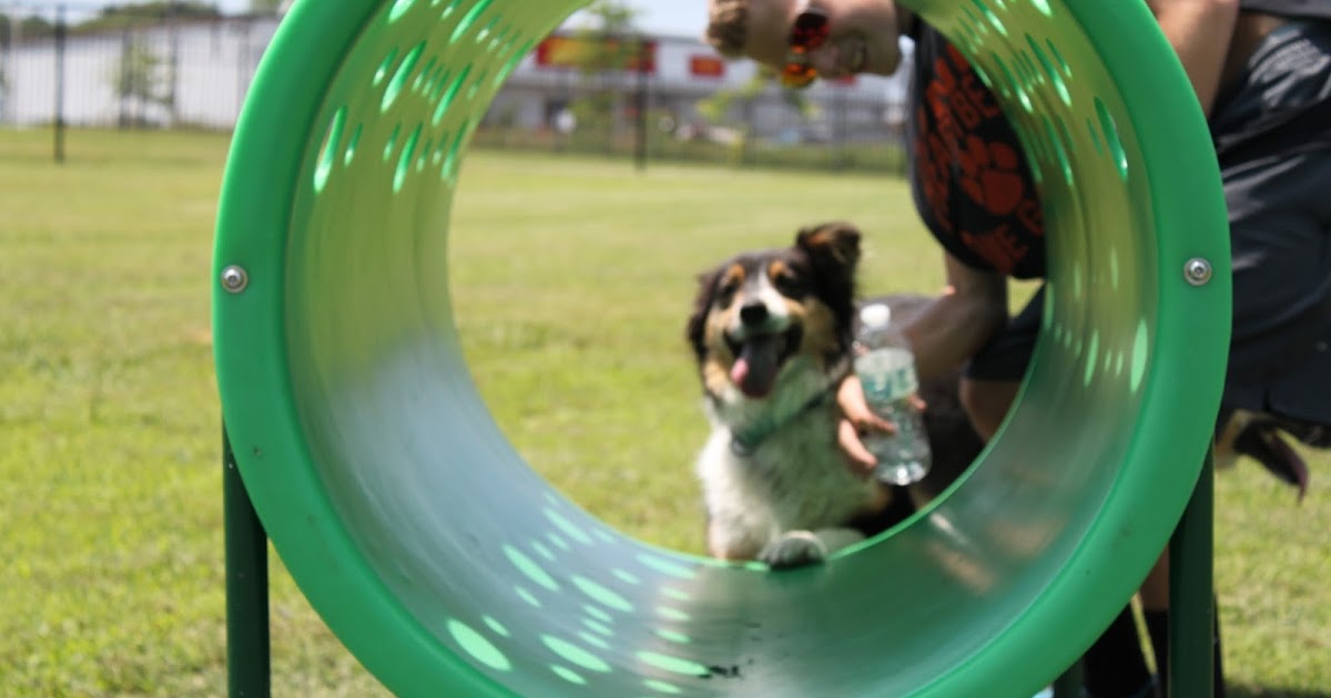 28 Things to Do in Cullman