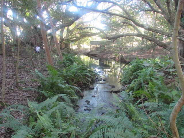 Robbiebago Adventures Rocky Creek Camping Area
