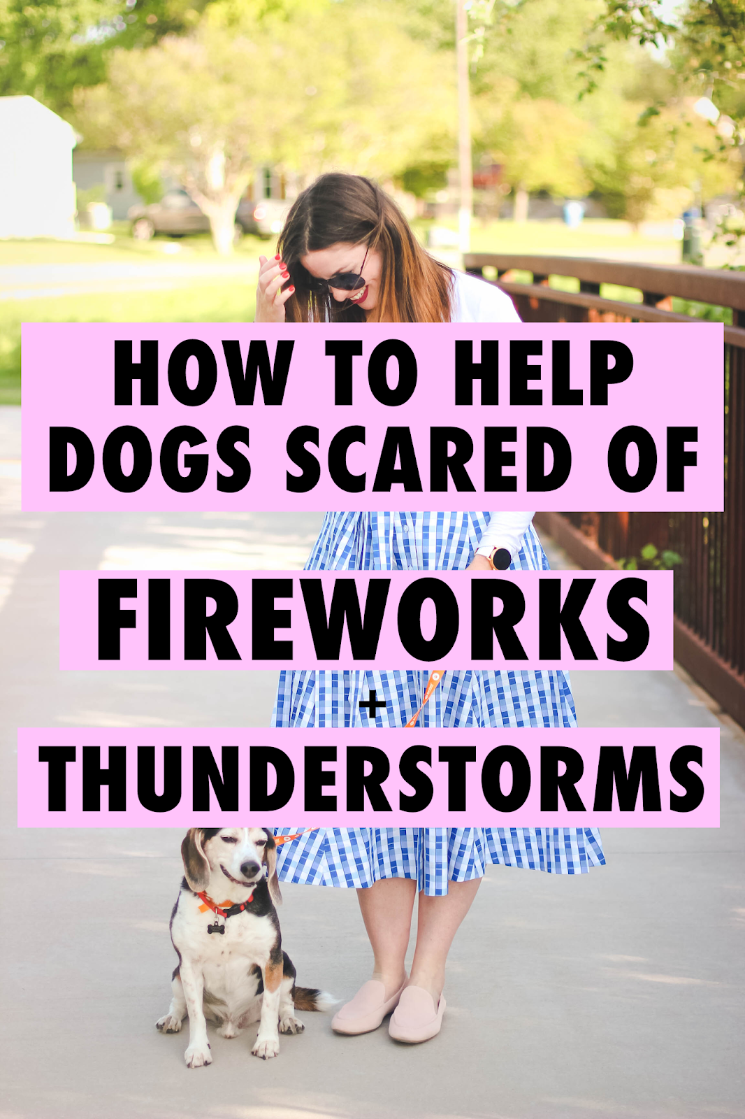 How to Help Dogs Scared of Fireworks and Thunderstorms Venus Trapped