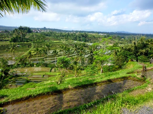 QUÉ VIMOS EN BALI - VIAJE PASANDO POR MALASIA, INDONESIA Y ESTAMBUL. (14)