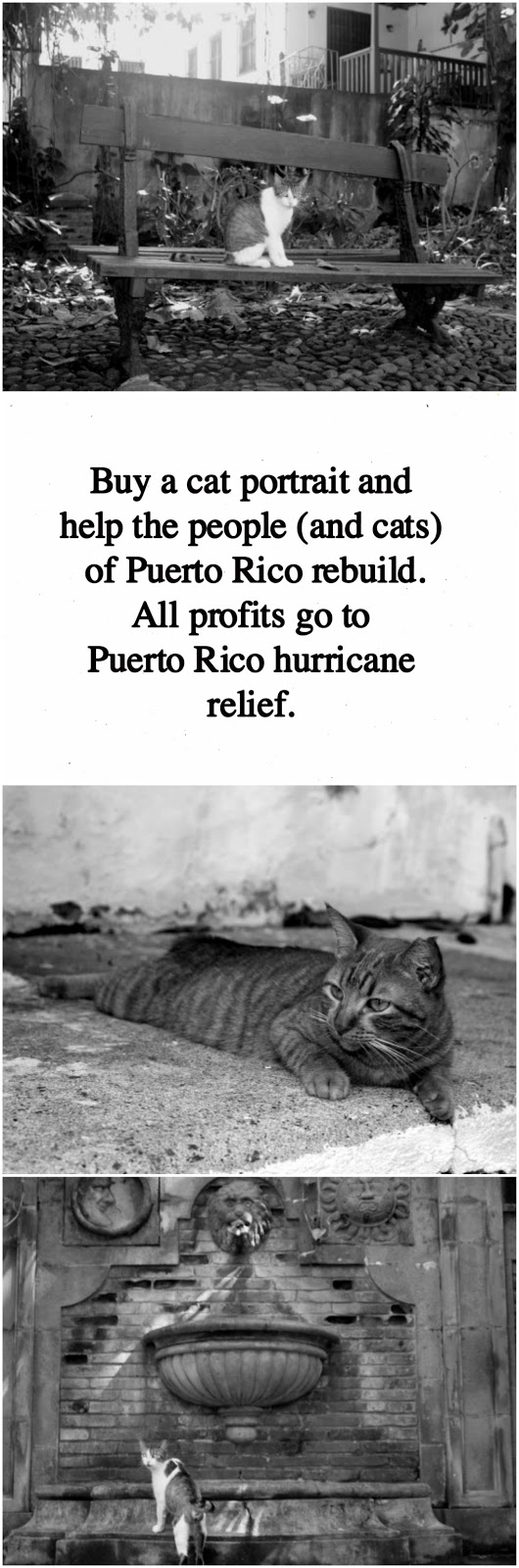 puerto rico hurricane