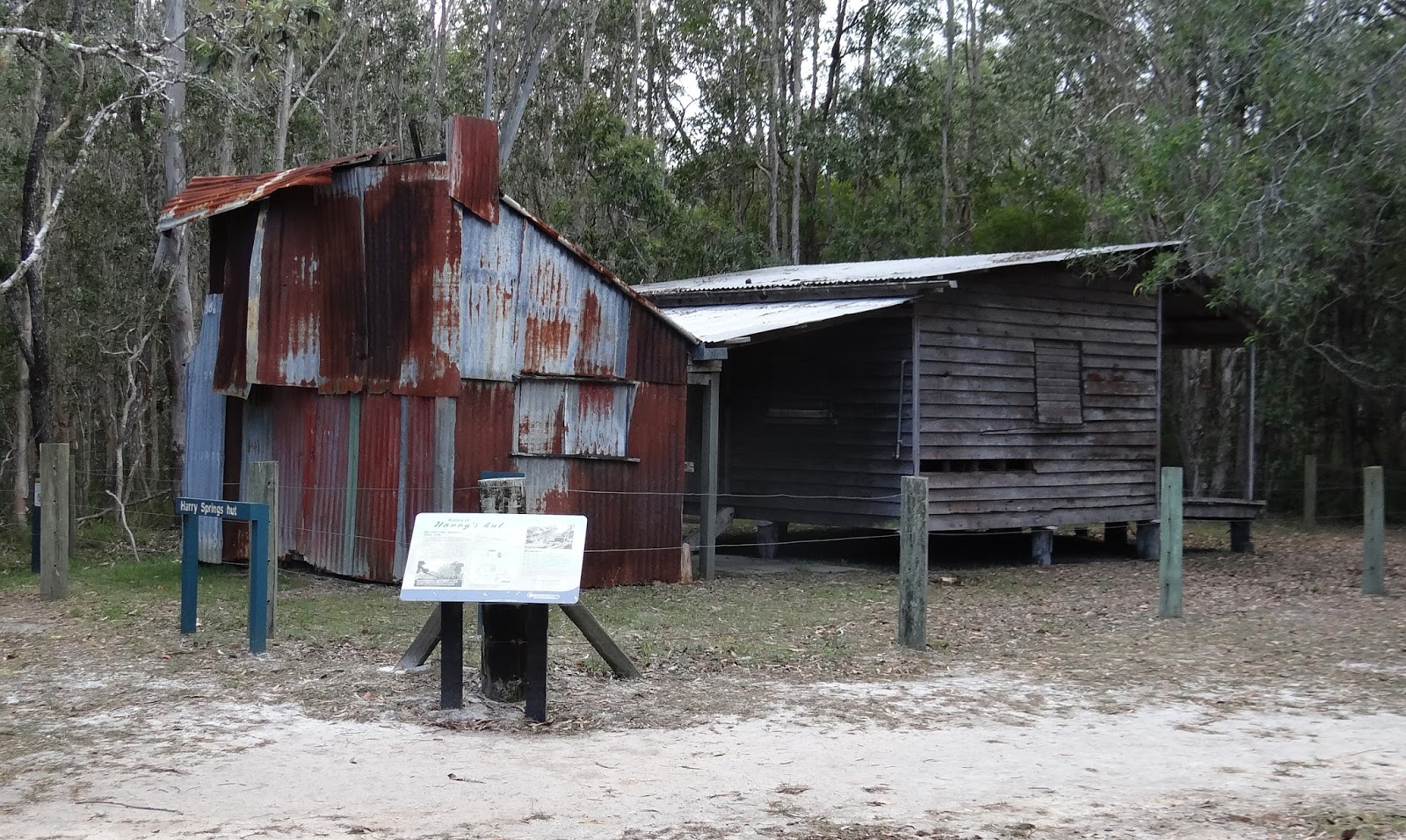 sunshinecoastbirds Harry's Hut Masked Owl, Squirrel Glider, Kayaking