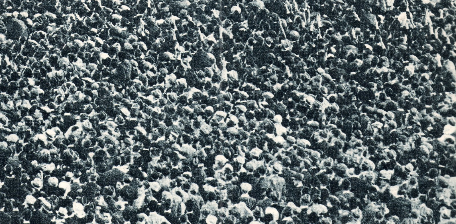 :и по, тоа!: #денот_по-тоа ::: антивистината за прогрижата