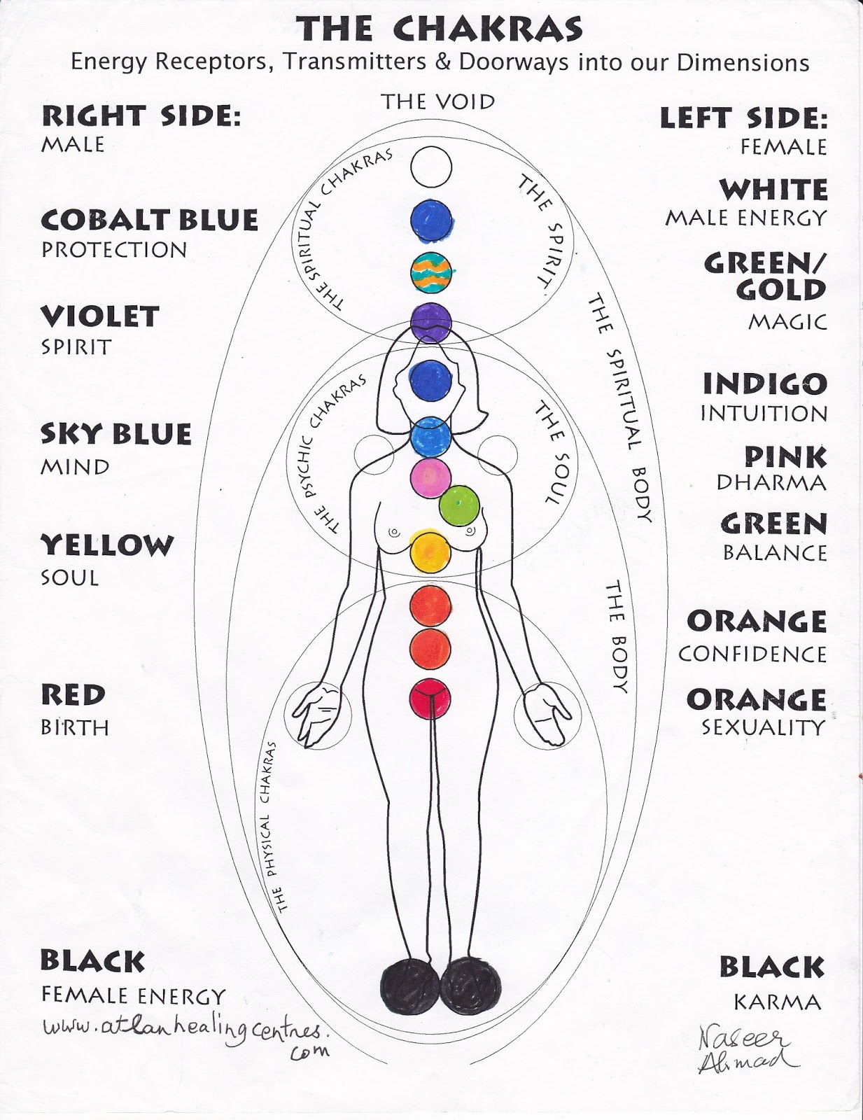 Man From Atlan: The 12 Chakra System of Healing