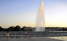 EL AGUA DE ZARAGOZA  DÍA A DÍA