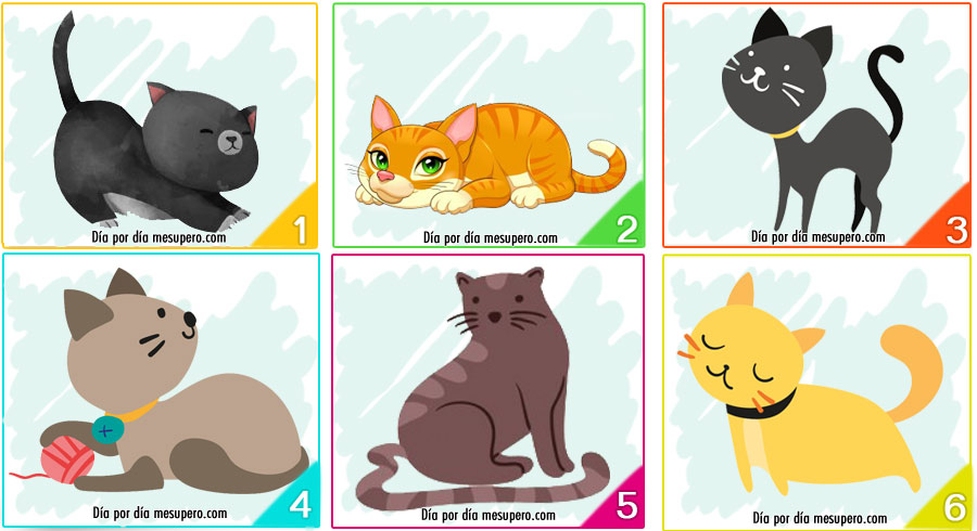 Test: El gato que elijas revelará mucho sobre tu  personalidad
