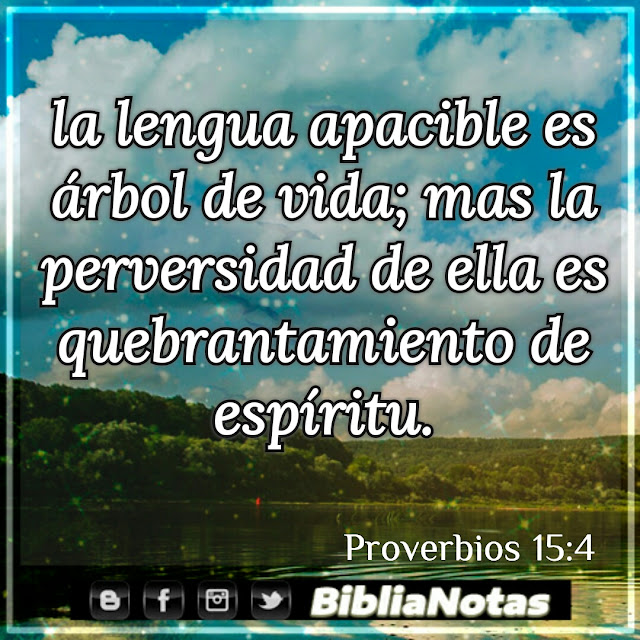 Ver las imágenes de origen