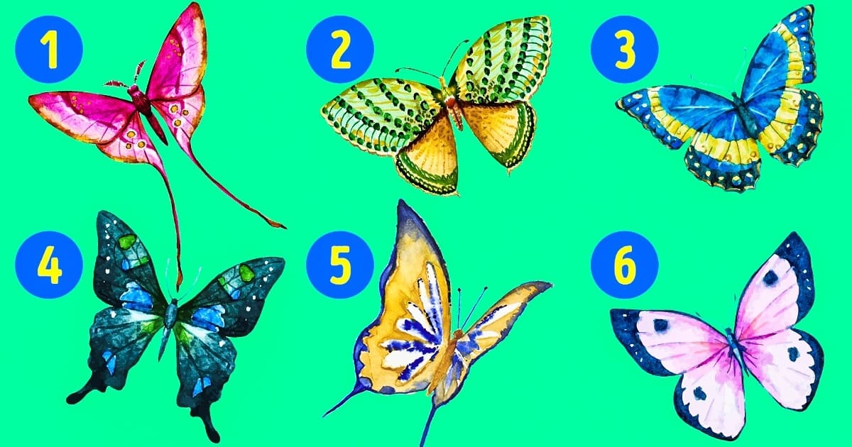 La Mariposa Que Elijas Puede Revelar Los Lados Ocultos De Tu Personalidad El Club De Los Libros Perdidos