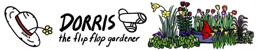 Dorris, the Flip Flop Gardener