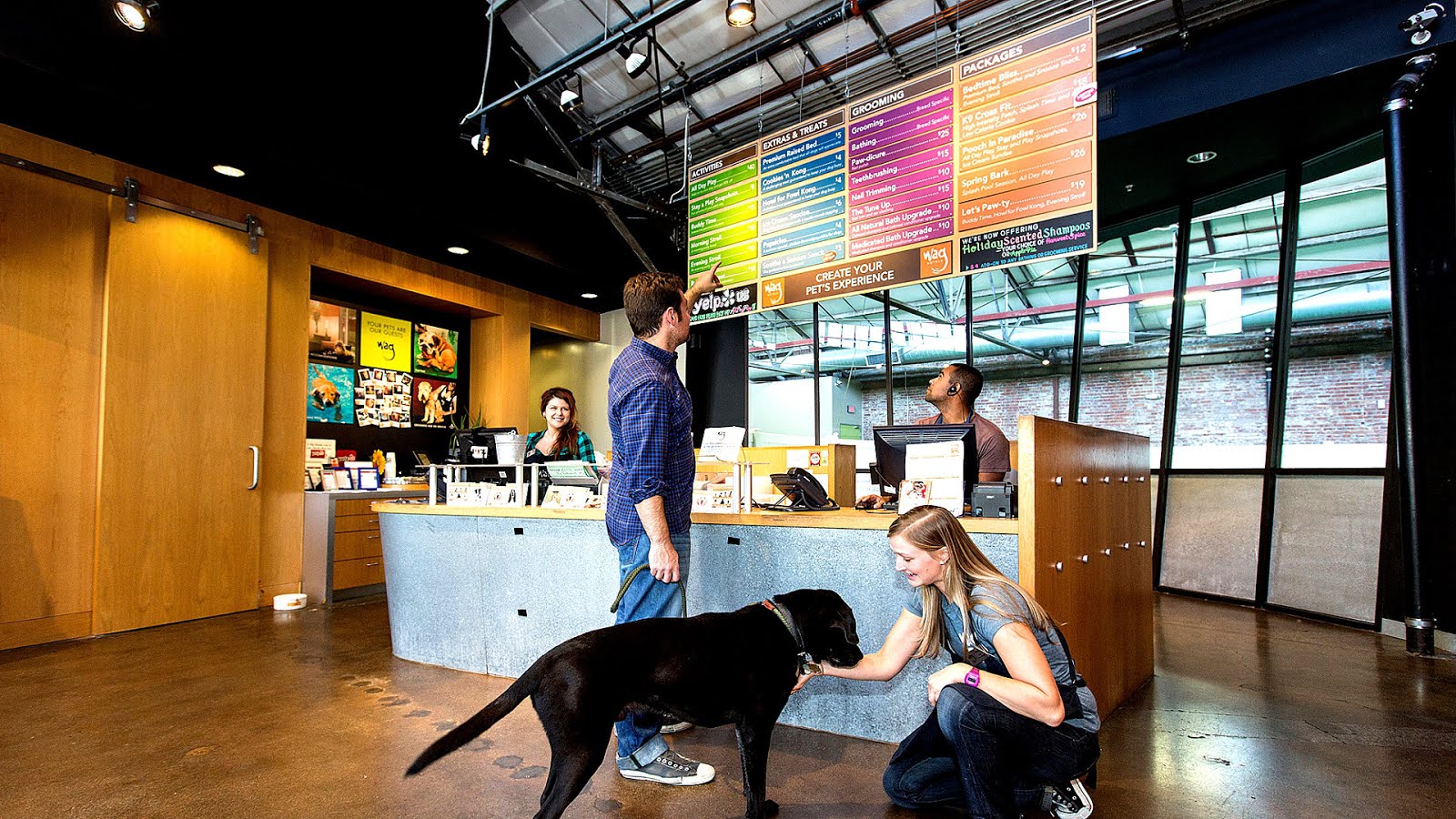 Cat Boarding Sacramento Cat Choices