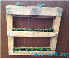 Glamour Coastal Living: Vertical herb garden & planter box