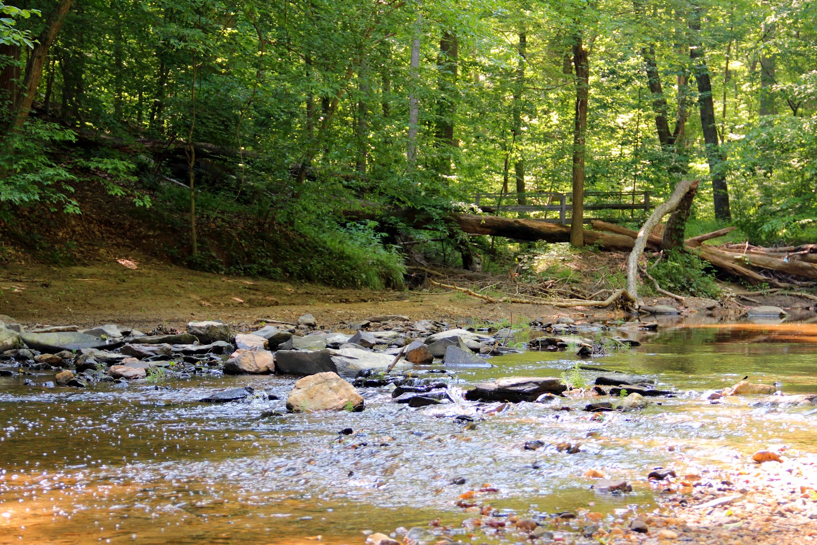 My picture pages Hidden Pond Nature Center Fairfax, Virginia