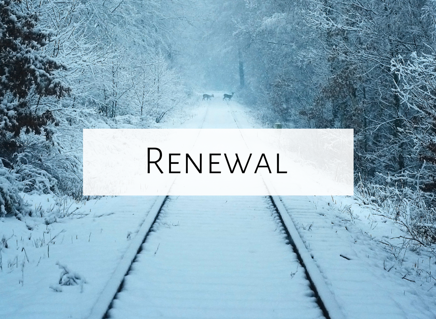 Notepad flip and spell word family activity Renewal and rejuvenation over winter break | Mrs. Miracle's Music Room