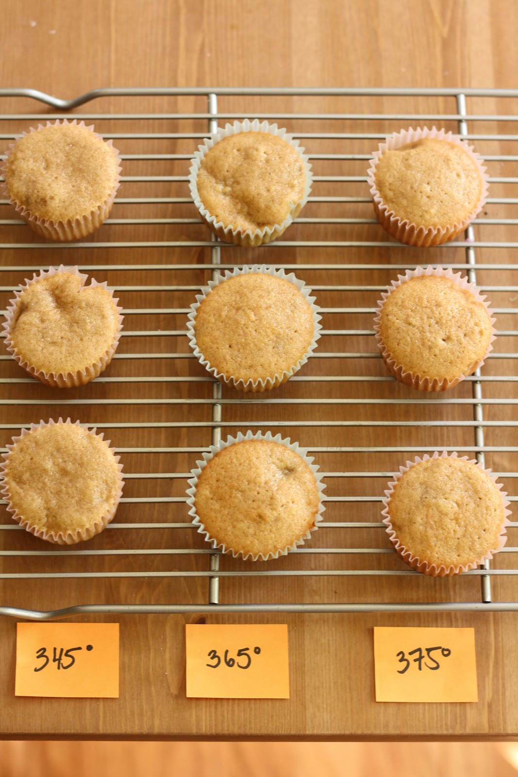 HighAltitude Hummingbird Bakery Banana and Chocolate Cupcakes, Pt. 1