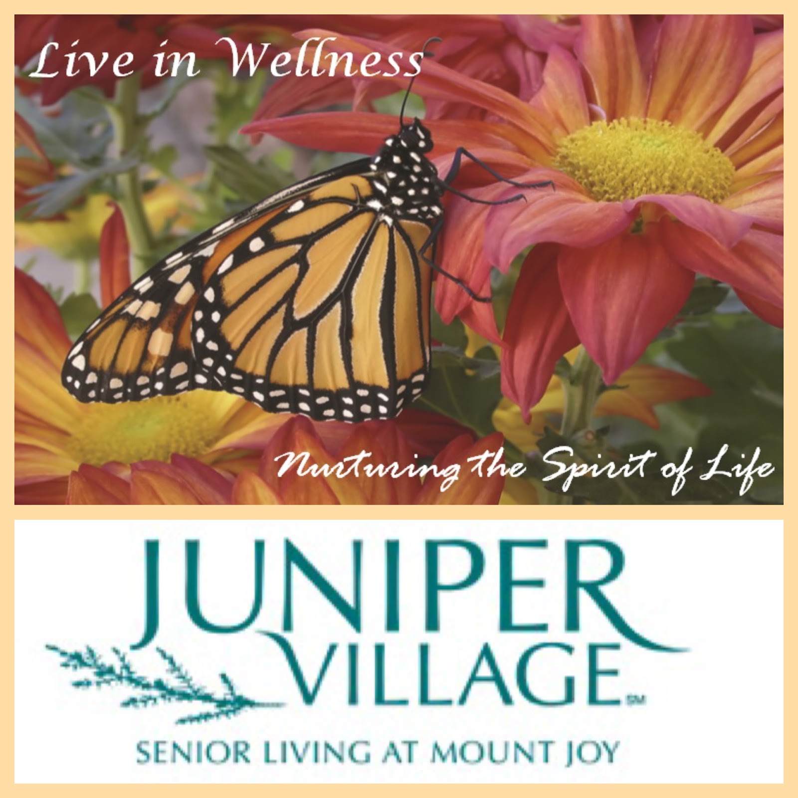 Juniper Village At Mount Joy June 2015 Events In Mount Joy PA Live juniper-village-at-mount-joy-june-2015-events-in-mount-joy-pa-live