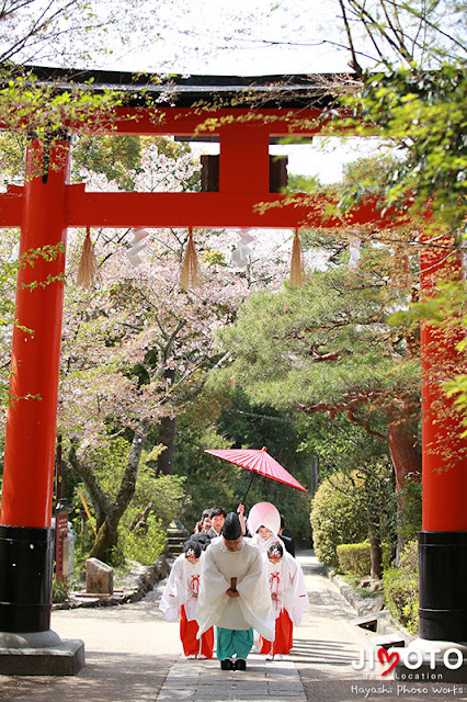 宇治上神社での挙式・結婚式撮影