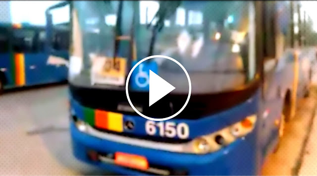 VÍDEO: Bandidos assaltam e cortam ônibus a golpes de fação no Santa Maria
