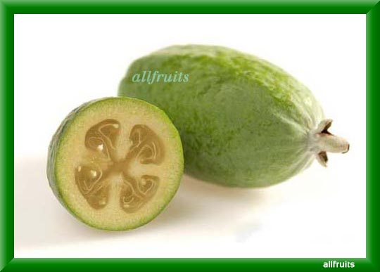 4 letter fruit 4-letter-fruit