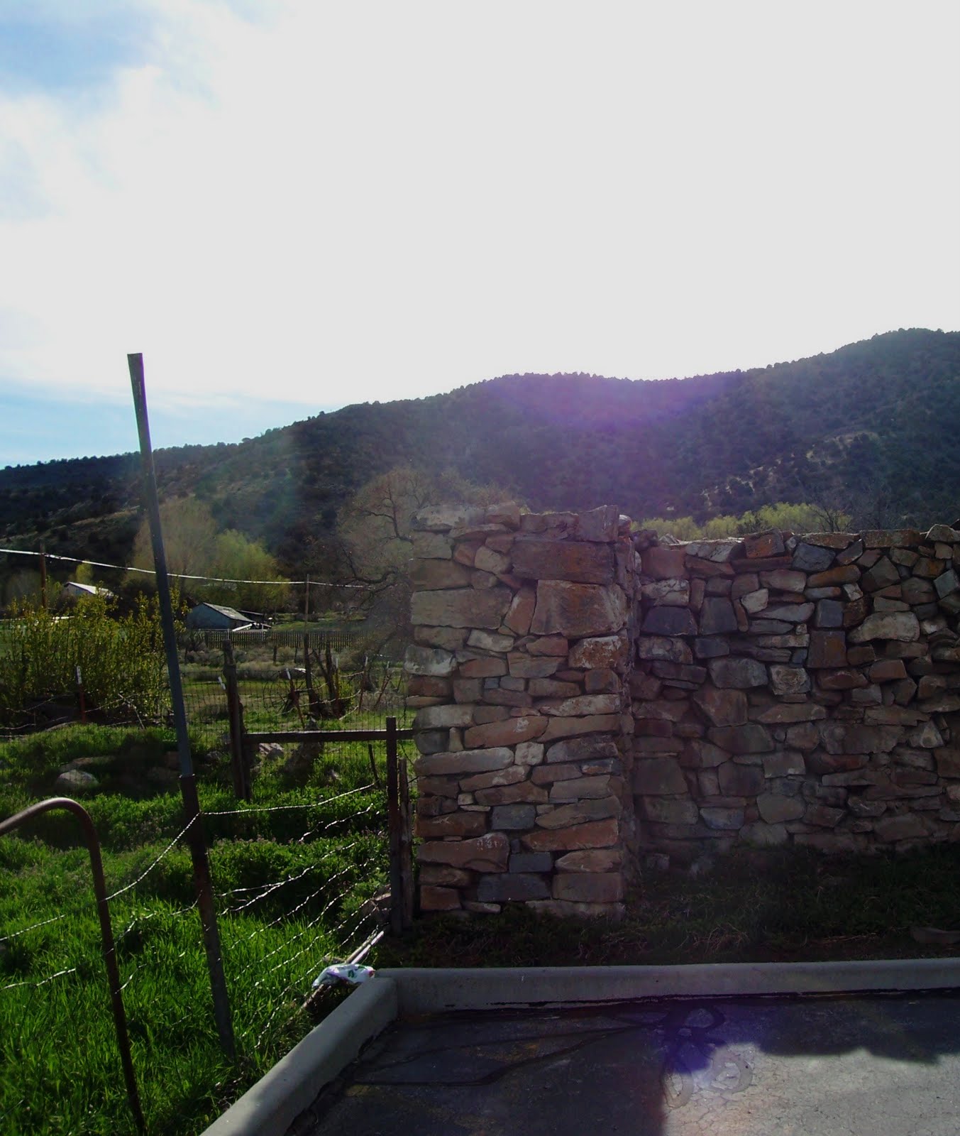 Utah's Present History Are there actually cedars in Cedar Fort?